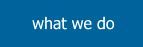 What We Do